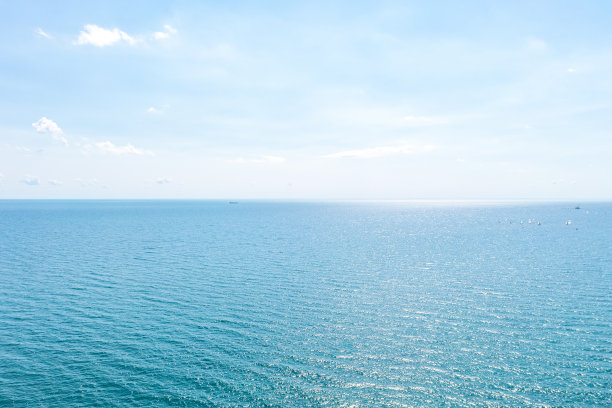 加拿大多伦多的白桦海滩图片下载