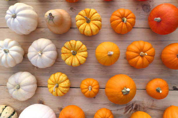 秋天的南瓜五彩缤纷的背景。图片下载