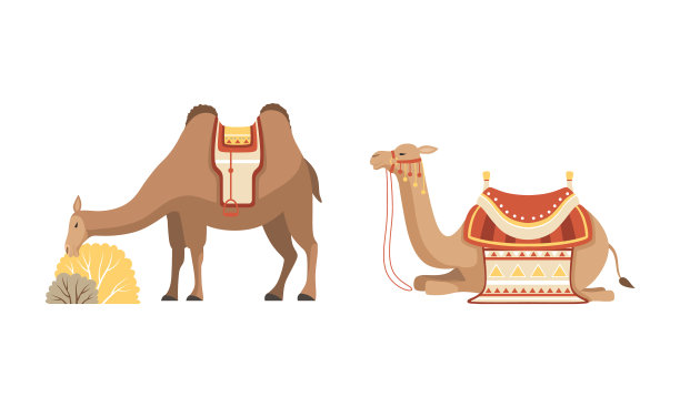 驯养沙漠大篷车动物用图片下载