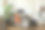 创意的工作空间组成的现代男性家庭办公室室内黑色工业书桌，棕色皮革扶手椅，笔记本电脑，老式唱机和时尚的个人配件。模板。图片下载