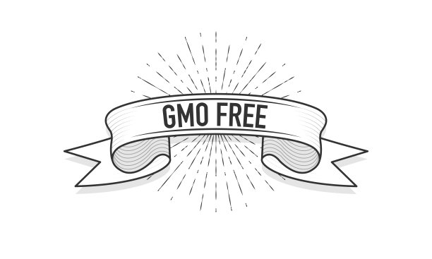 印有“转基因免费”字样的丝带。古老的丝带横幅雕刻风格和光线在白色背景上。手绘。矢量插图。图片下载
