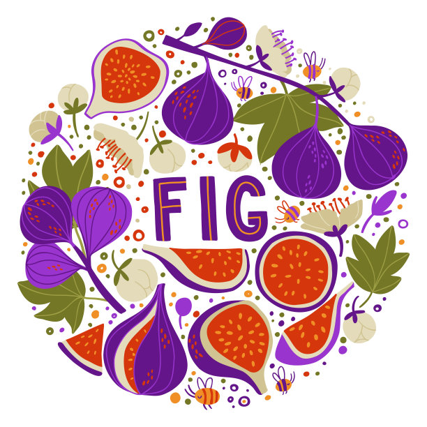 又有无花果、无花果的一半、和半片、无花果的花、和种子。涂鸦图，食物背景。蔬菜平放在白色上。素食,长大了,自然图片下载