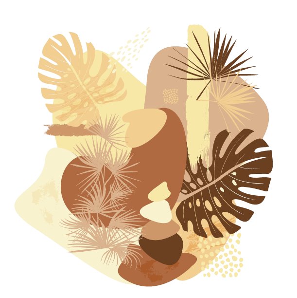 现代海报与自然形状和自然阴影与干燥的怪兽树叶图片下载