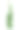 悬挂藤蔓丛林藤本植物生长在野生与心形绿色叶子孤立在白色背景与修剪路径。黄花九轮草(山茱萸)，药用山茱萸林植物。图片下载