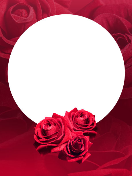 三个红玫瑰放置在一个白色圆圈的中心上，一个模糊的红玫瑰和红色背景，自然，旗帜，模板，复制空间图片下载