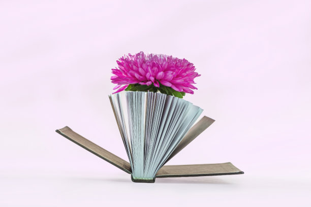 浪漫的静物与迷你书的诗歌和美丽的粉红色花朵。复古复古的风格。诗歌和文学的概念。图片下载