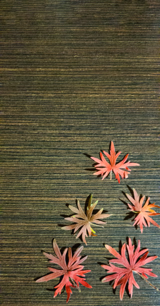 木制背景上五片红色的秋叶图片下载