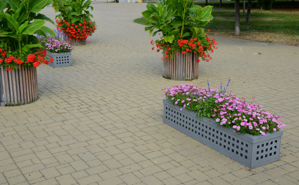 节日广场上有一排排的花盆，引导游客沿着温泉公园的长廊来到喷溅的喷泉前。木制嵌板花盆，圆柱形和长方形图片下载