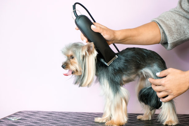 美容院的美容师，理发图片下载