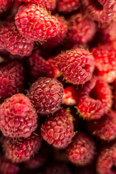 新鲜的有机成熟覆盆子-森林水果图片下载