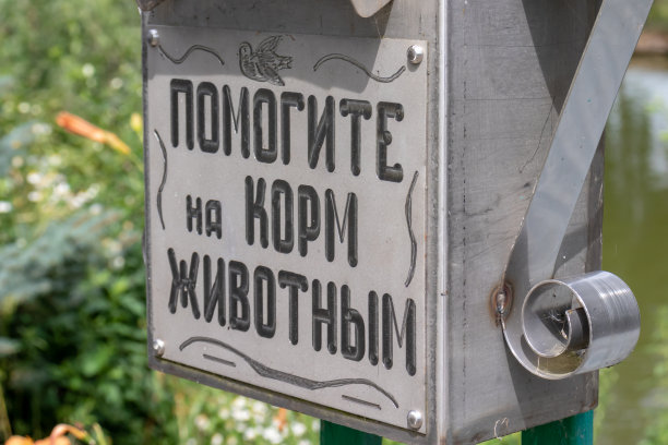 动物收容所的一个盒子，上面写着“帮助喂养动物”，正在寻找，等待为被遗弃的动物捐赠图片下载