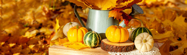 明亮的秋天枫叶在金属喷壶中飘香。南瓜的季节性家庭装饰。感恩节或万圣节晚餐的想法零浪费的桌子装饰。木制背景。图片下载