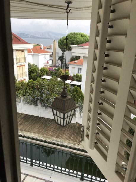 绿色的池历史图片下载