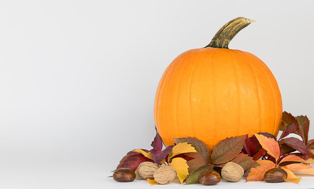 大南瓜，秋天的树叶，坚果，白色的背景。图片下载