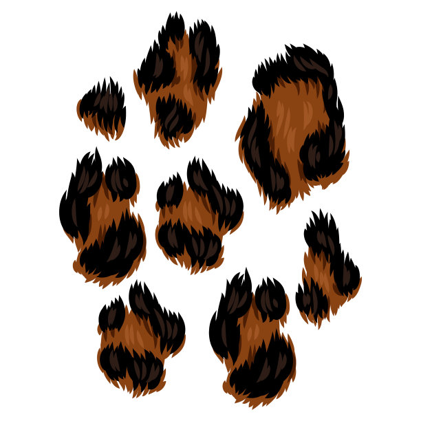 背景与装饰豹纹动物图片下载