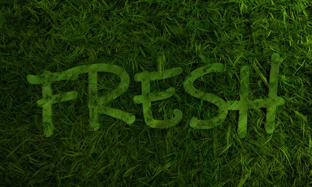 3d绿草和新鲜单字图片下载