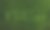 3d绿草和新鲜单字图片下载