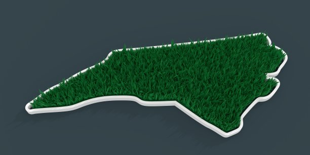 北卡罗莱纳州地图与三维绿色草地图片下载