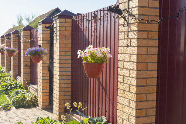 佩妮在篱笆旁的一个吊着的花盆里开花图片下载