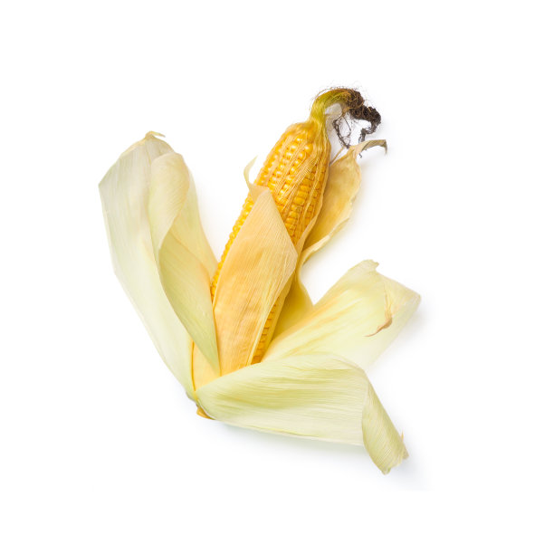 白色背景上的玉米棒图片下载