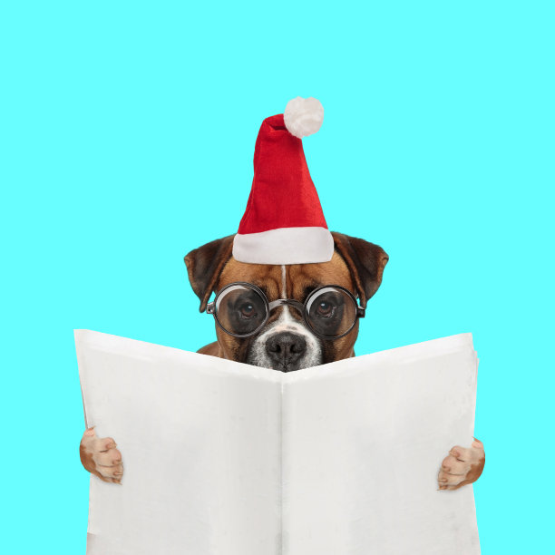 一只叫鲍克瑟的狗戴着眼镜看报纸图片下载