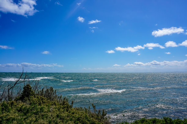 透过树丛可以看到大海和海滩。图片下载