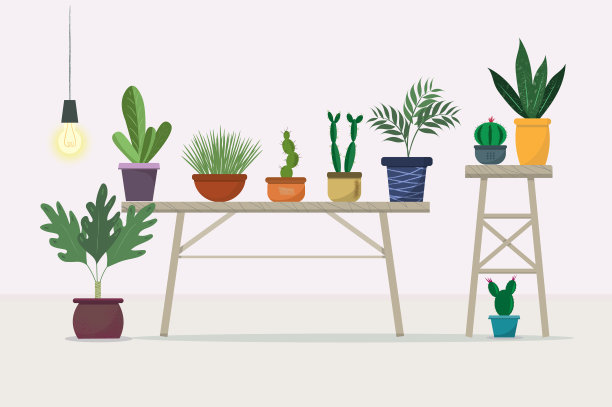 一个带有家庭植物的桌子，家庭décor概念，家庭生活方式的概念，平面矢量插图图片下载
