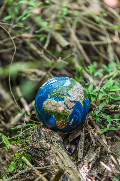 回到大自然图片下载