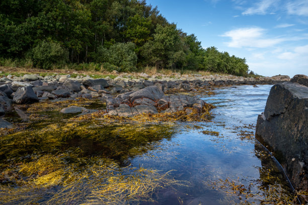 岩石嶙峋的海岸线，蓝色的海水和蓝色的天空作为背景。图片来自瑞典斯卡尔德维肯图片下载