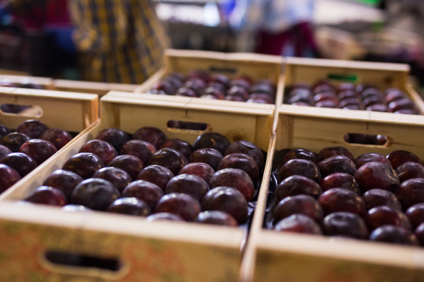 收获的紫李子装在木箱里，堆放在仓库里图片下载