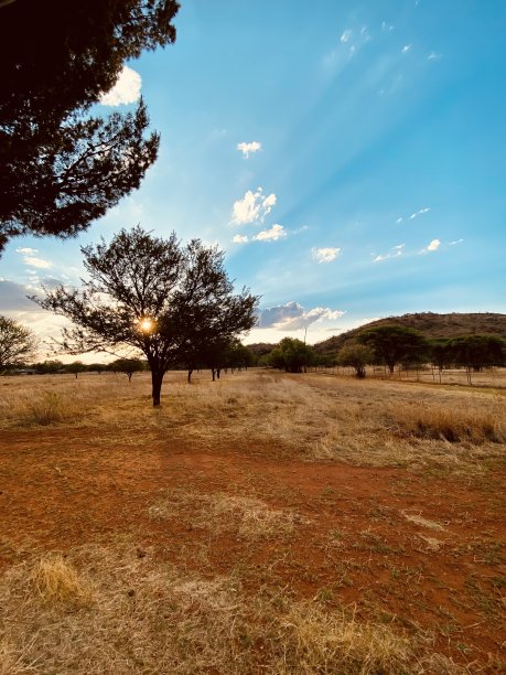 一个非洲的日落图片下载