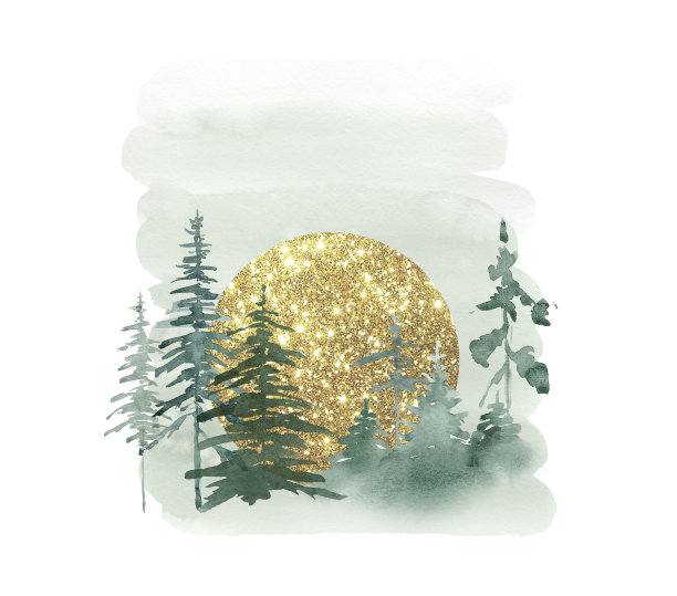 林地景观、圣诞树、云杉林。图片下载