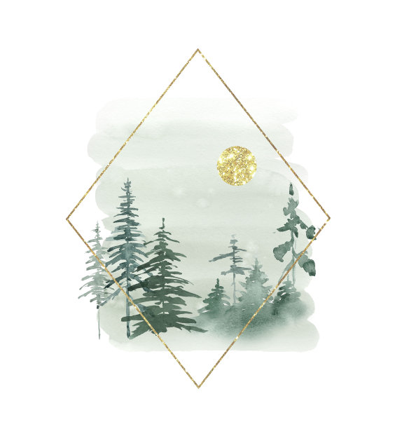 林地景观、圣诞树、云杉林。图片下载