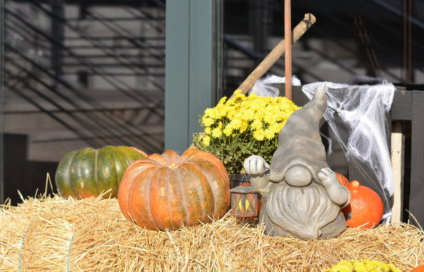 照片区附近的咖啡馆，商店，房子为万圣节。南瓜，干草，花，灯笼图片下载