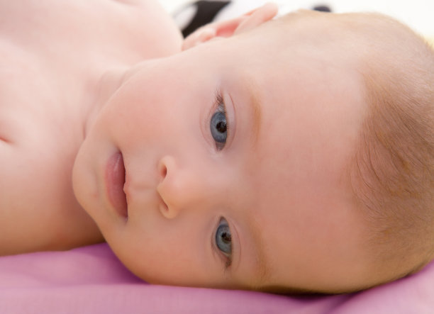 小蓝眼睛放松地躺着图片下载