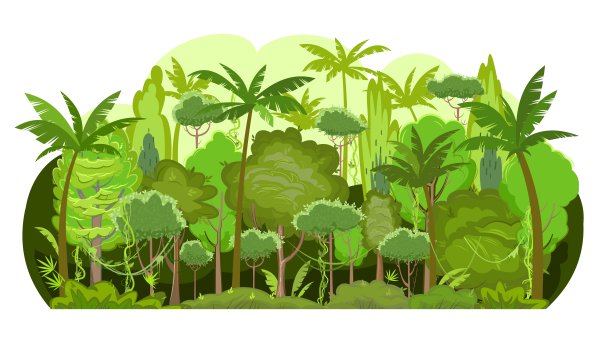 不可逾越的浓密的丛林。的背景图片。热带雨林的植物。美丽的绿色景观，异国情调的树木和棕榈树。可爱的卡通风格。孤立在白色背景上。向量。图片下载