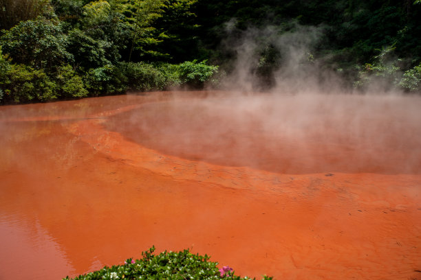 Chinoike戴图片下载