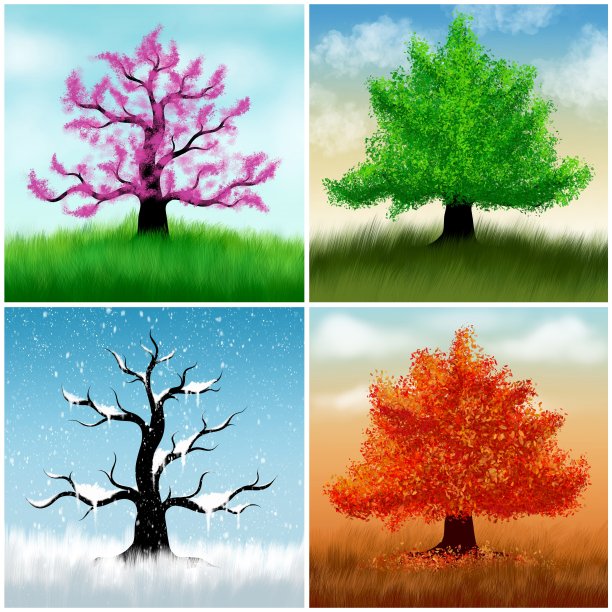 树在四个季节的插图图片下载