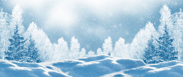 冬天的森林里，白雪覆盖着树木。户外图片下载