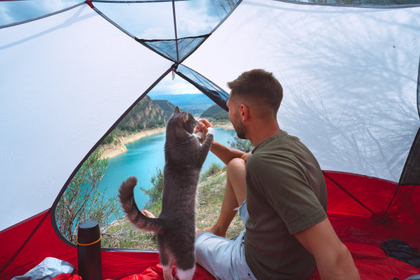 一个男人和他友好的猫在户外共度时光。和真正的朋友在一起。人和宠物的概念图片下载