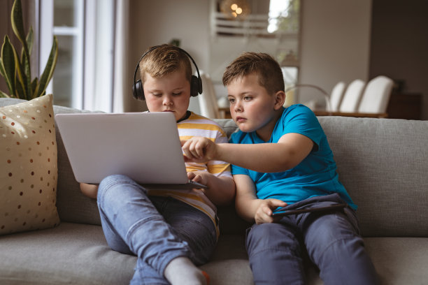 两个白人男孩坐在家里的沙发上用笔记本电脑图片下载