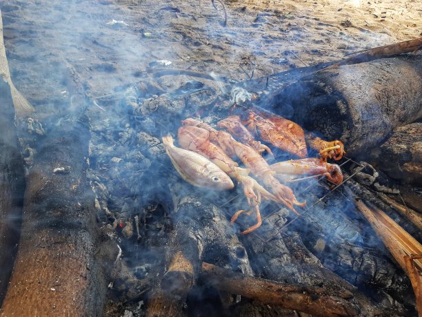 烤鱼鱿鱼图片下载