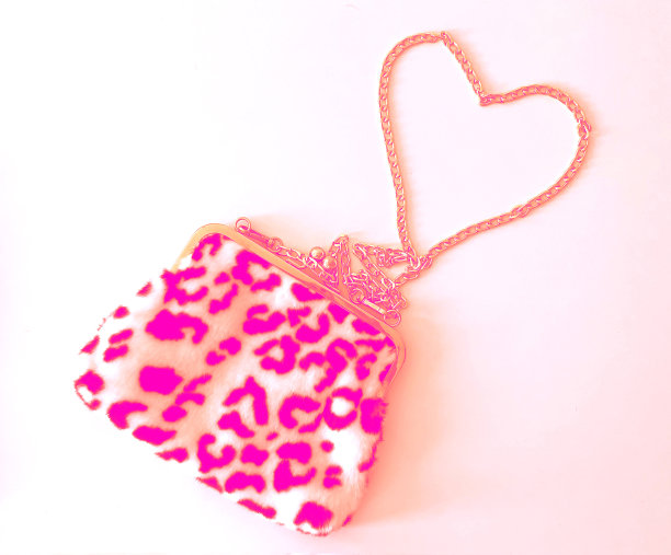 时尚的豹纹包图片下载