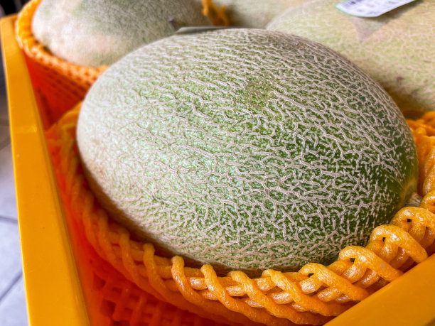 近距离观察哈密瓜图片下载
