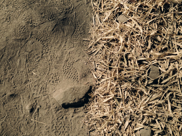 游客在沙滩上留下的足迹图片下载