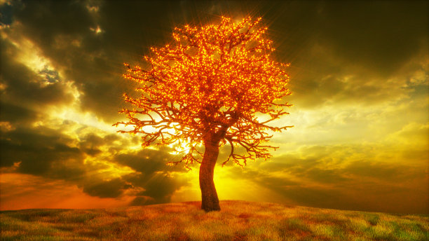 神秘的魔法树(3d渲染)图片下载