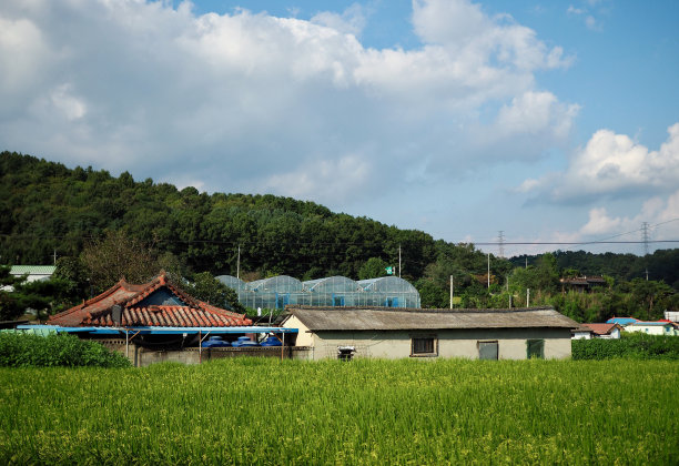 韩国乡村，乡村，房屋，景观图片下载