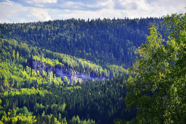 全景石和原木石图片下载
