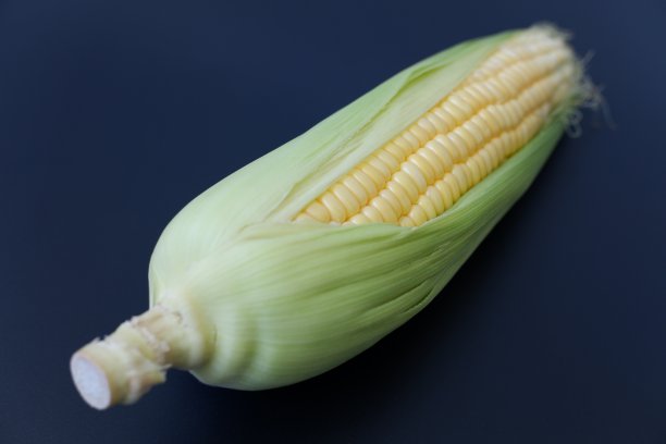 玉米富含维生素C，这是一种抗氧化剂，有助于保护你的细胞免受损害，并预防癌症和心脏病等疾病。黄玉米是类胡萝卜素叶黄素的良好来源。图片下载