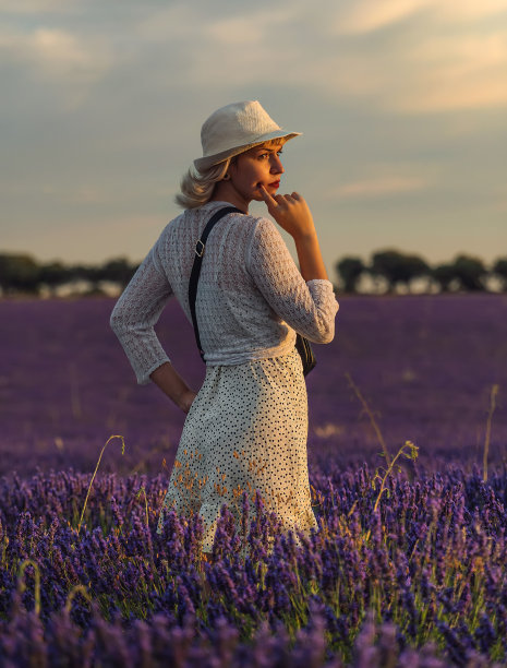 穿着白色连衣裙的女人在紫色薰衣草的田野里图片下载